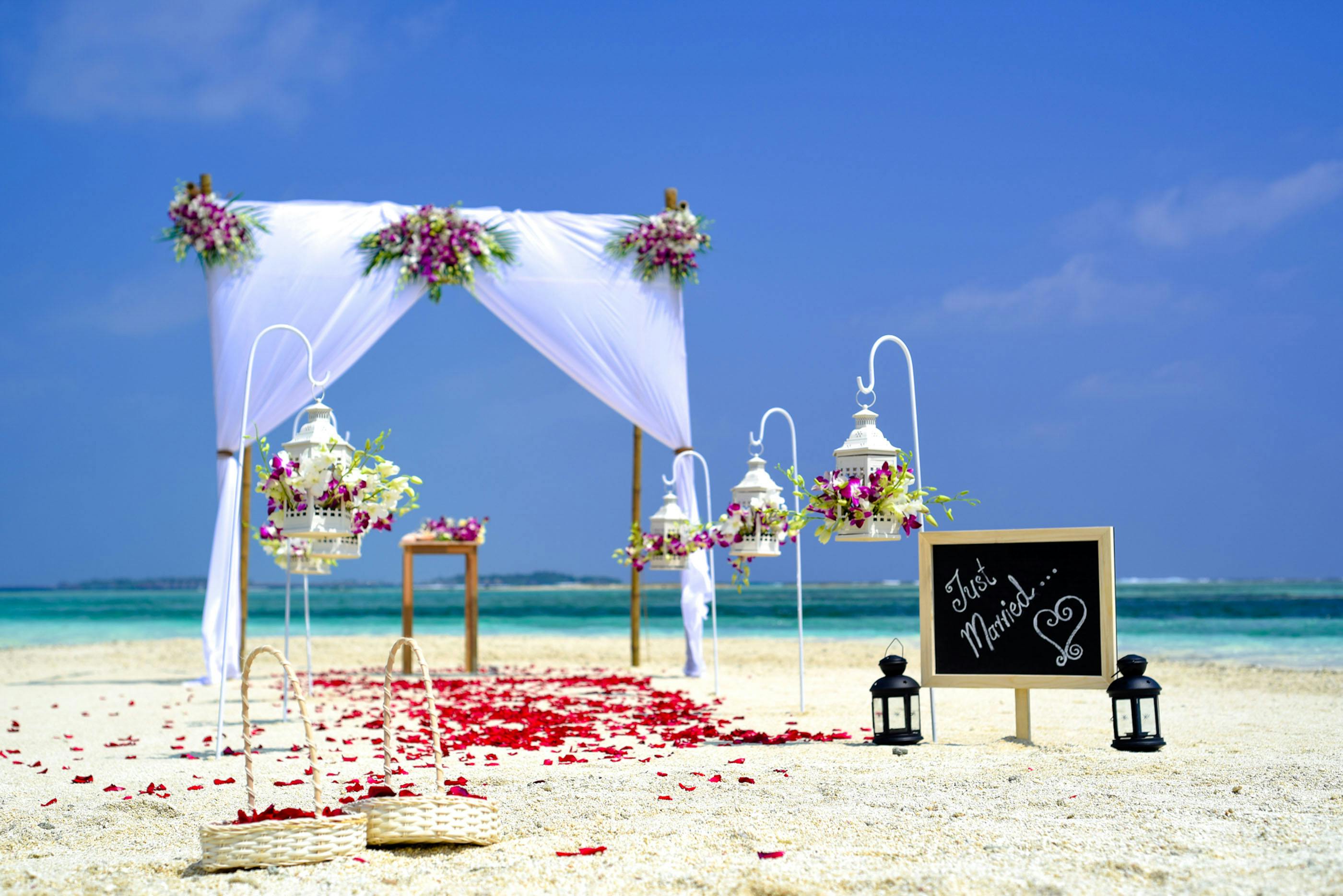 Seaside Wedding